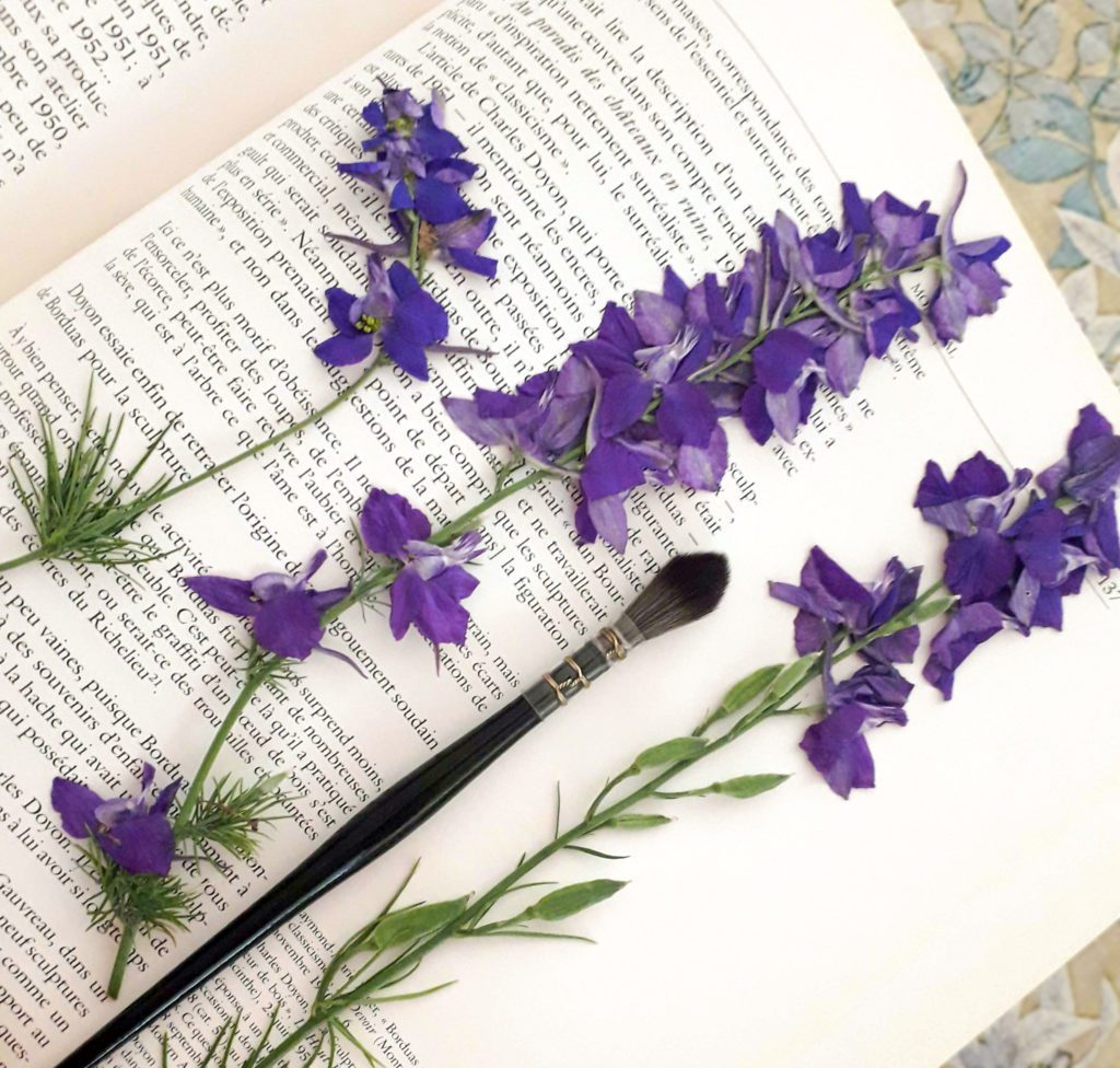 Fleurs violettes avec pinceau et livre